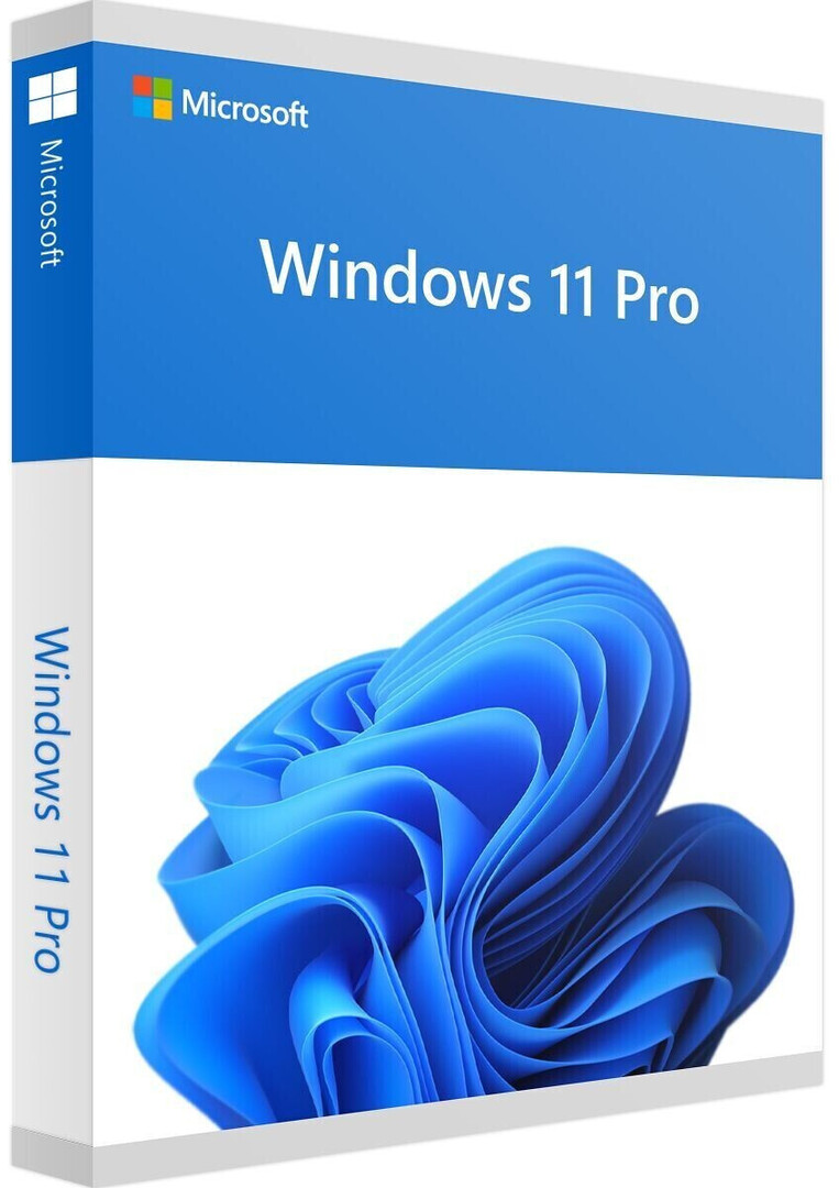 WINDOWS 11 PROFESSIONAL